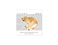 Sticker labrador
