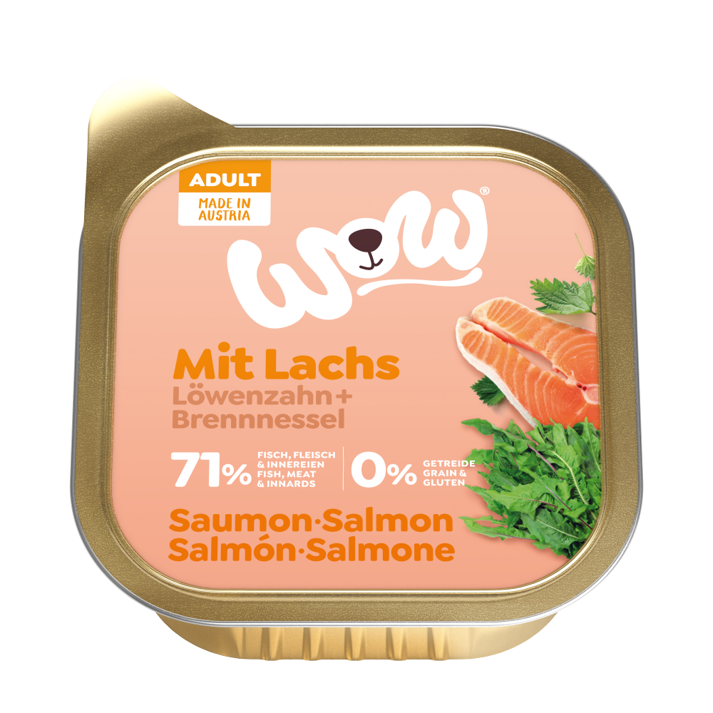 Wow Dog Wet Food Cup  Adult Salmon 