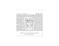 Sticker bichon