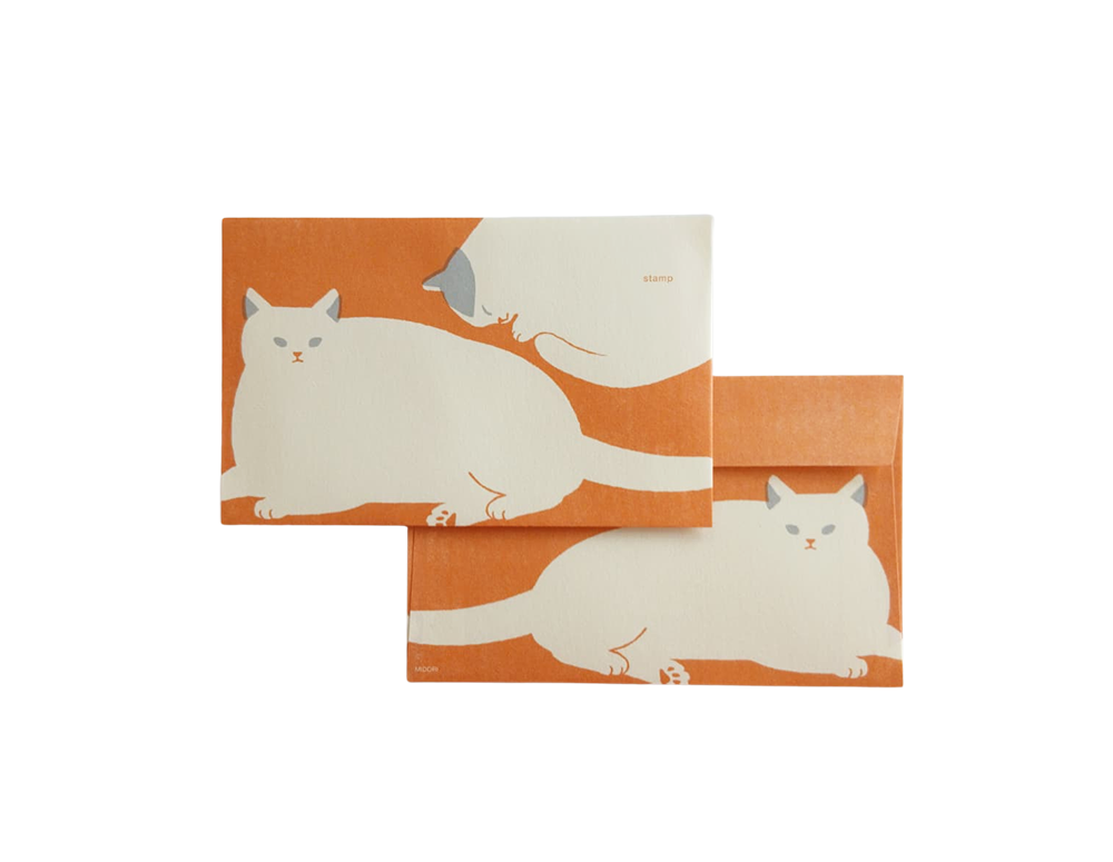 Set de 8 plicuri Cat