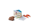 Ciocolata cu surprize Animale Marine PLAY in CHOC Toychoc