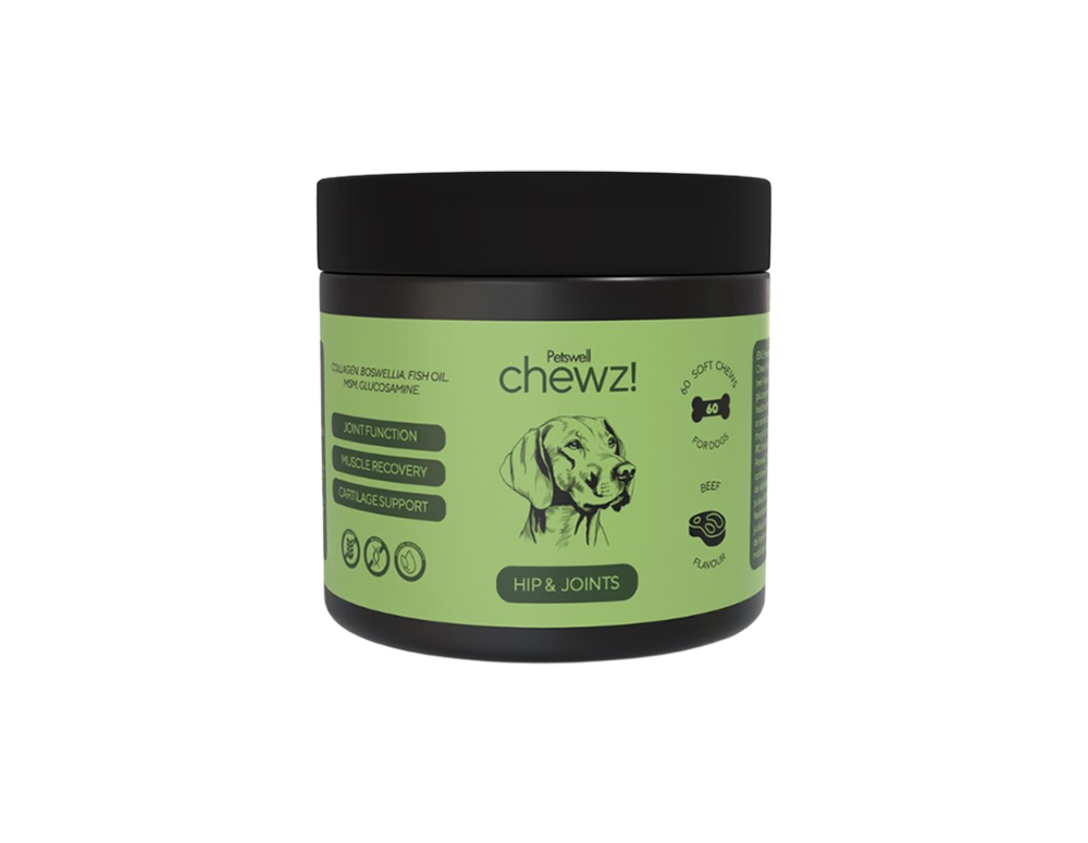 Supliment căței - șolduri și articulații